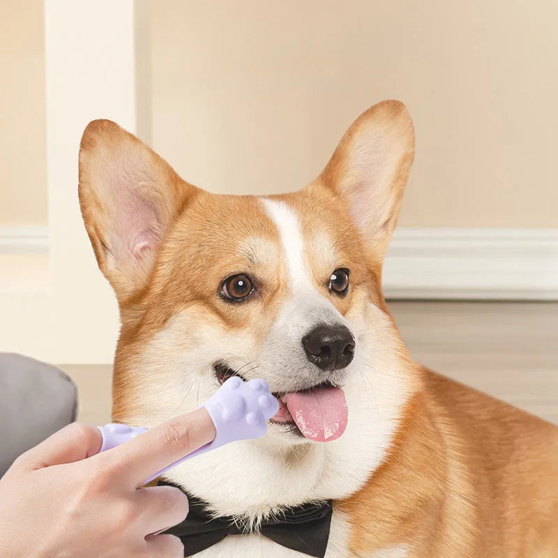 Silicone finger toothbrush for pets in pink, purple and yellow colours