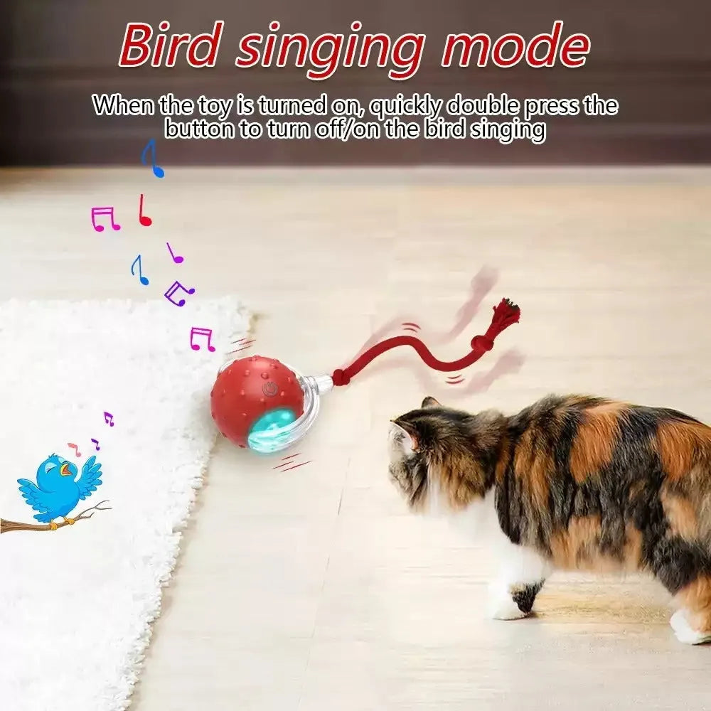 Red interactive cat toy ball with automatic rolling motor for indoor feline entertainment