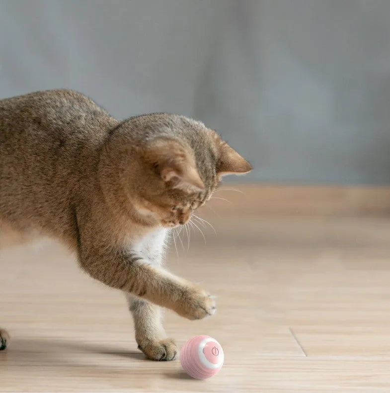 Automatic moving bouncing rolling ball smart cat toy in blue colour with silicone construction