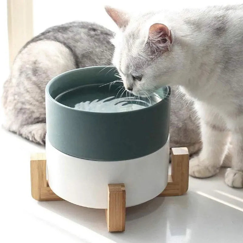 Ceramic cat and dog food bowl with bamboo wood frame, diameter 15.5cm, in white
