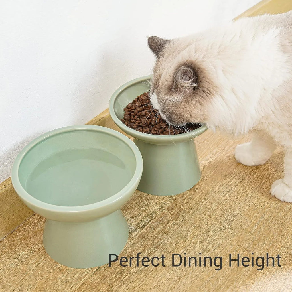 Ceramic elevated cat food bowl in blue colour with wide shallow design