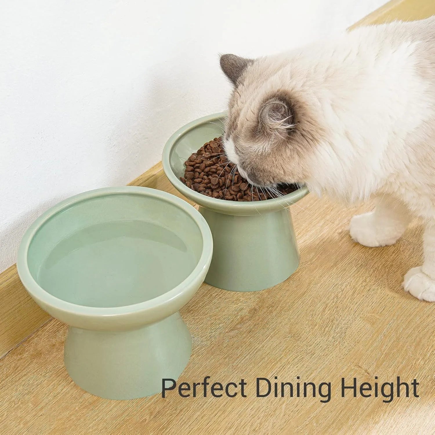 Ceramic elevated cat food bowl in blue colour with wide shallow design