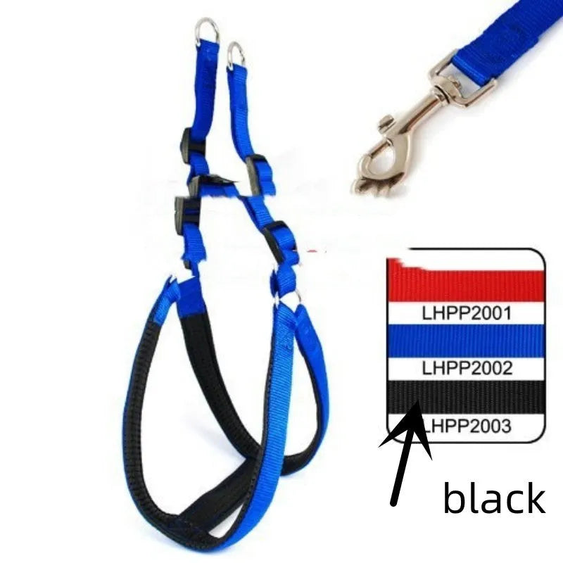Blue nylon dog harness with soft lining and polypropylene foam, shown as a traction belt for pet control.