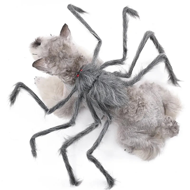Grey polyester spider costume for a small dog on Halloween.