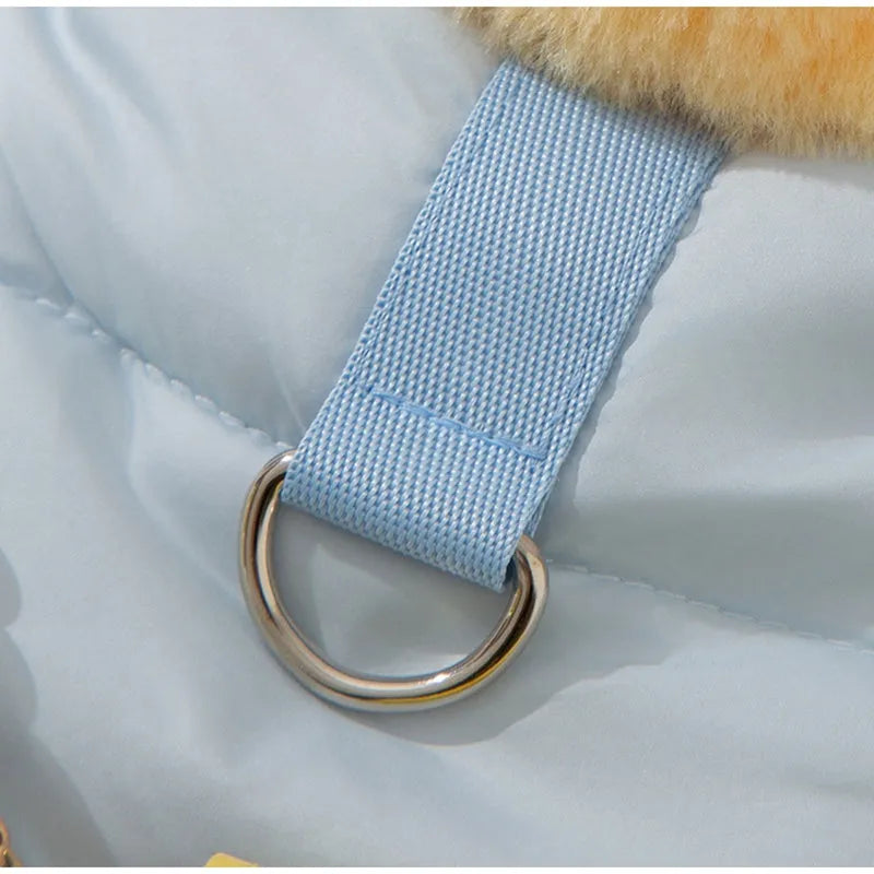 Small dog wearing a pink gingham princess skirt with built-in D-ring for leash attachment