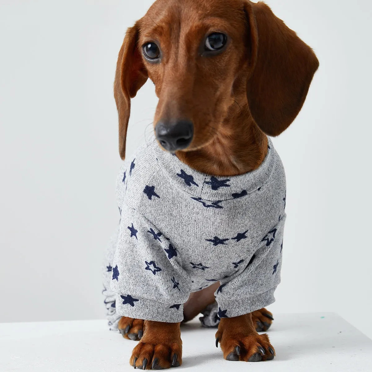Thin striped polyester pet clothing for dogs and cats in spring summer homewear style