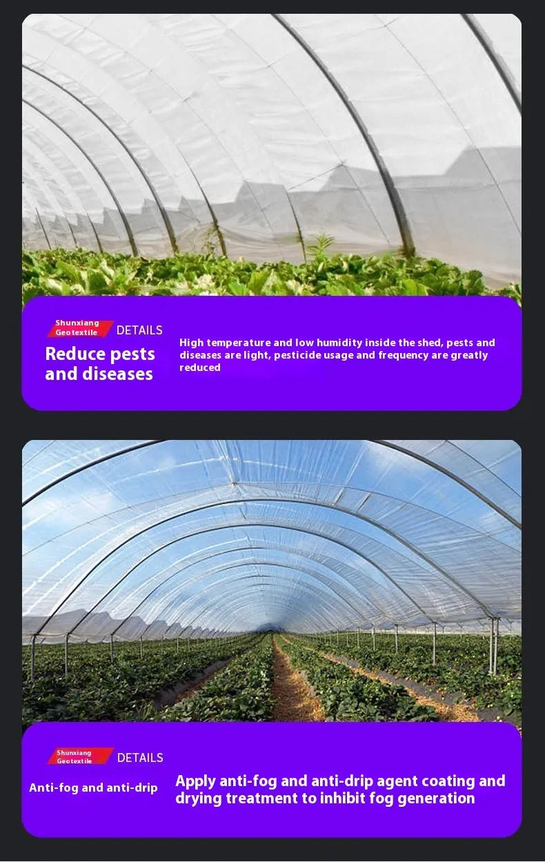 Roll of 4 metre wide, 8 metre long clear plastic greenhouse film for vegetable shed insulation.