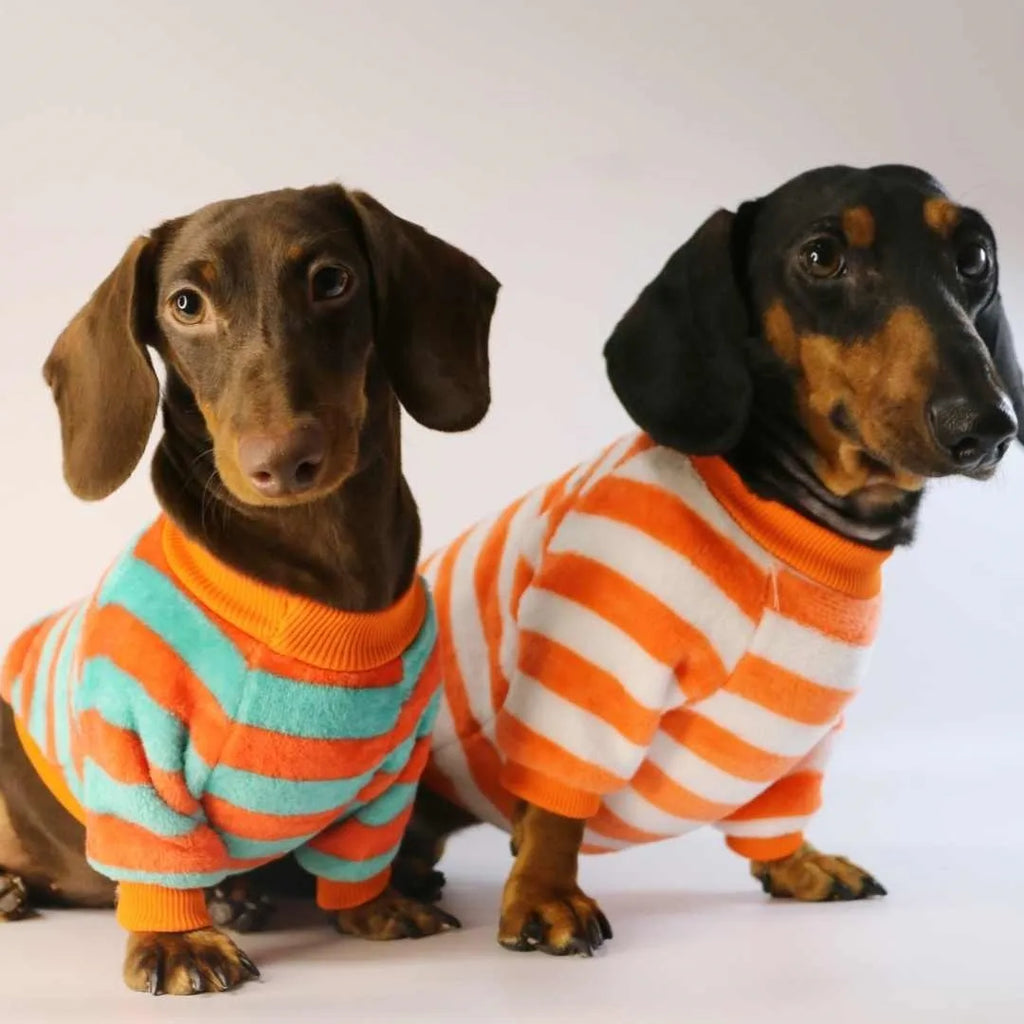 Striped round neck sweatshirt for dogs and cats in orange-red and white colour pattern