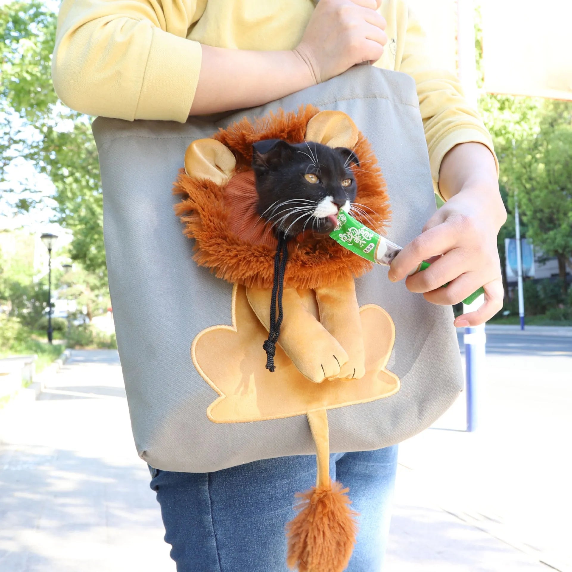 Canvas lion design pet carrier bag with safety zippers, adjustable opening, double shoulder strap, available in multiple colours