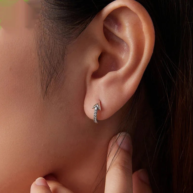S925 sterling silver earrings with inlaid zircon, simple unisex style, SCE1972 colour