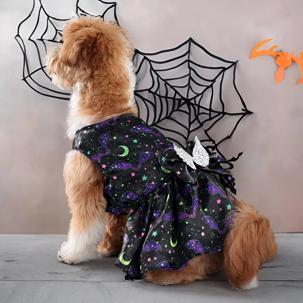 Halloween dog costume with angel wings design in bright pumpkin colour on a small dog.