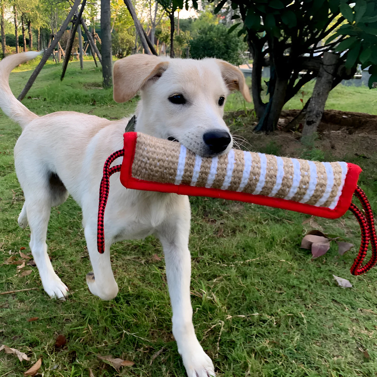 30cm coarse hemp dog biting stick in yellow colour for training and teething
