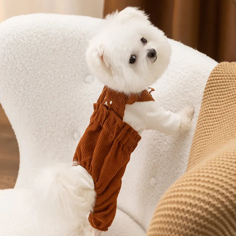Brown corduroy four-legged pet overalls with bunny back detail for small dogs, front view