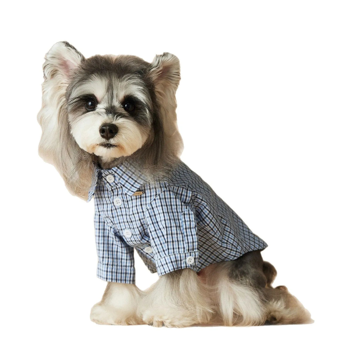 Light blue cotton plaid dog shirt for small dogs and cats, available in XS to XXL