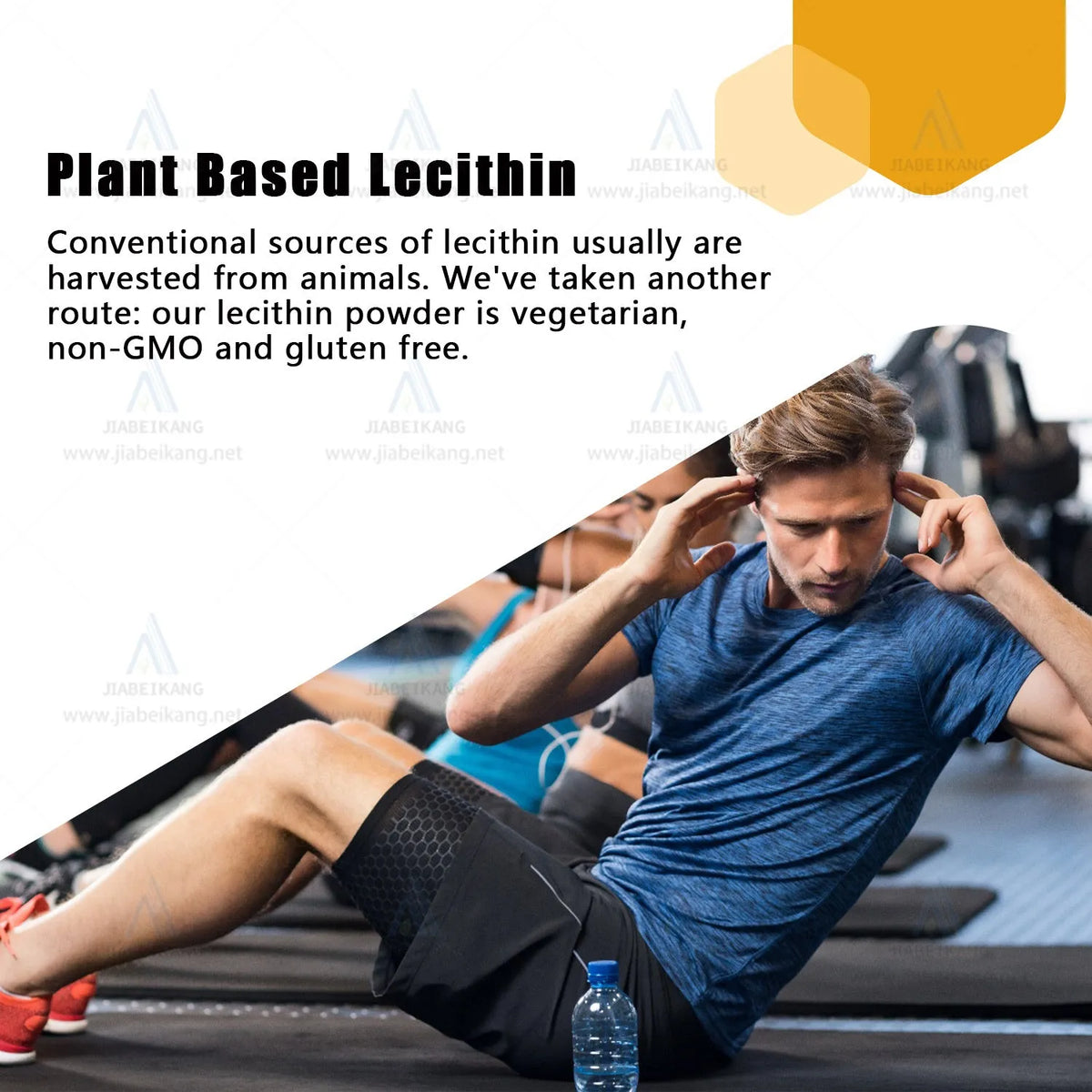 Bottle of 120 Halal vegan soy lecithin herbal multivitamin softgel capsules for nervous system and brain support.