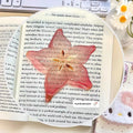 Transparent plastic bookmark with cartoon watermelon design, measuring 8-10cm long
