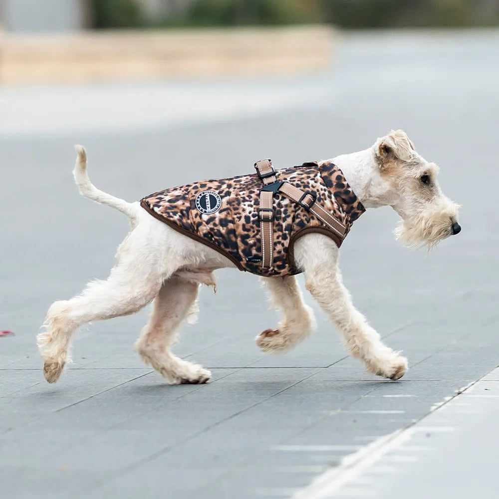 Leopard print pet top with integrated chest and back traction rope for dogs