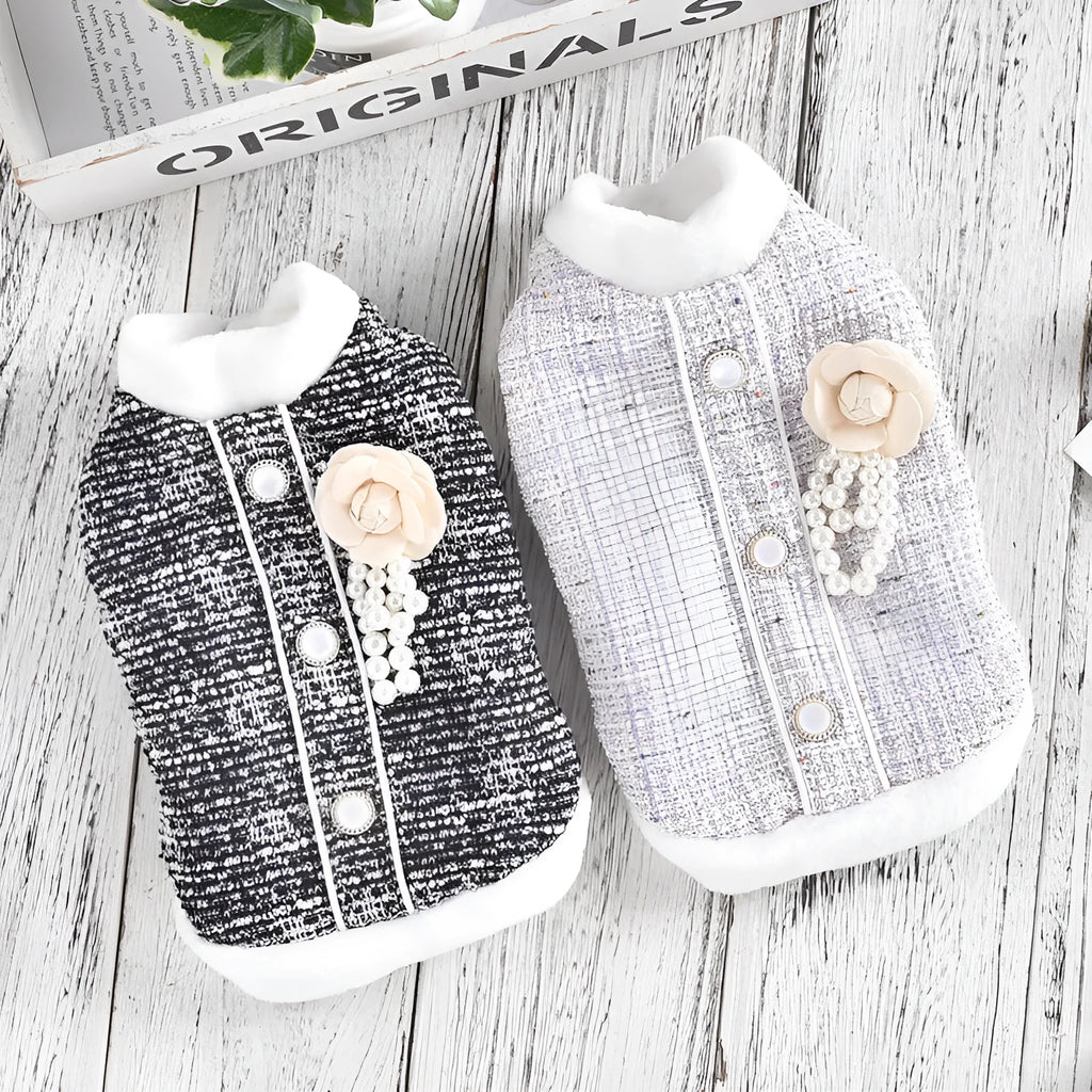 Black or purple PU jacket for small to medium sized cats and sausage dogs