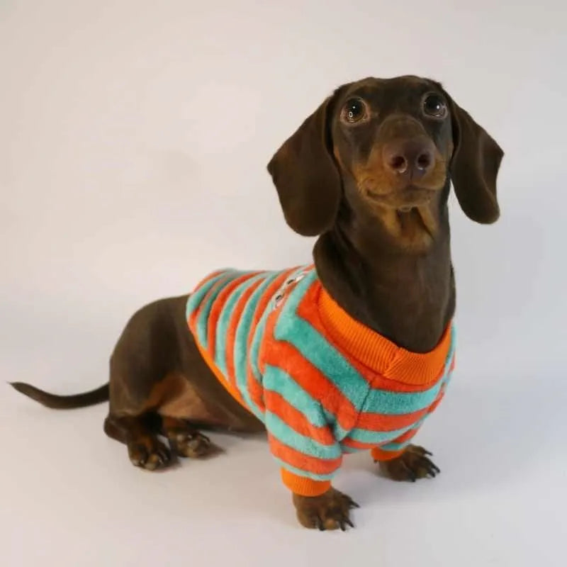 Striped round neck sweatshirt for dogs and cats in orange-red and white colour pattern