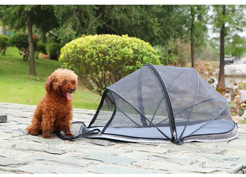 Folding cat tent with mesh panels shown in collapsed and set-up positions