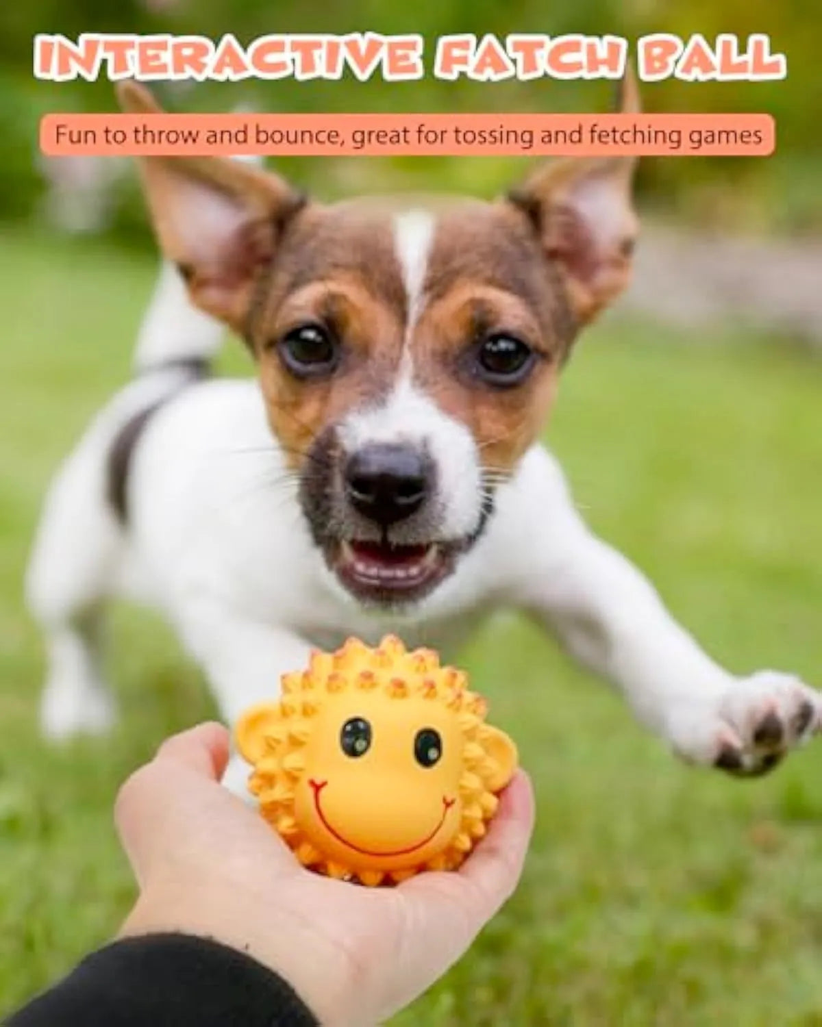 Set of four orange and yellow spiky latex animal dog toys with squeakers.