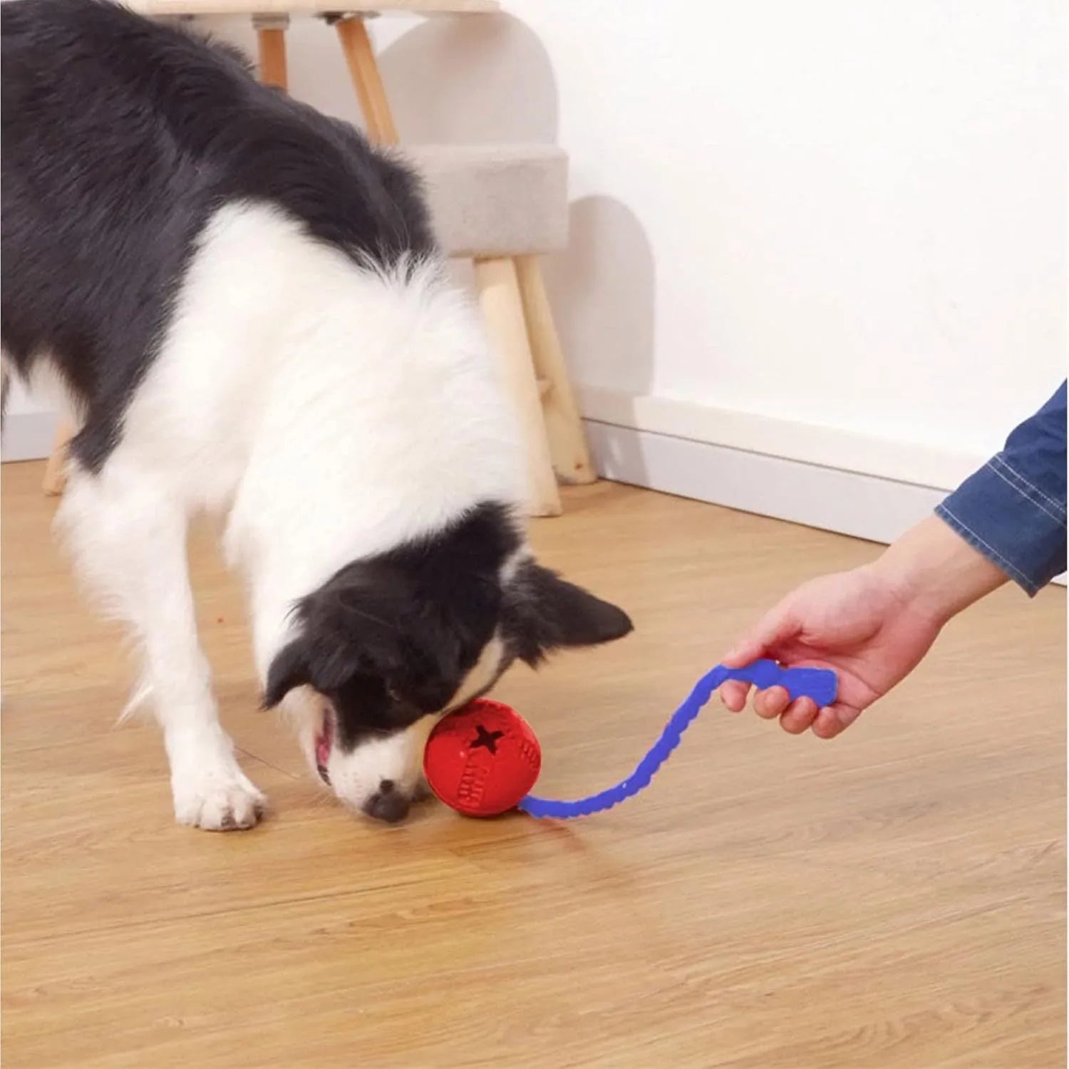 Orange interactive dog crate toy with rope made from natural rubber for crate training puppies