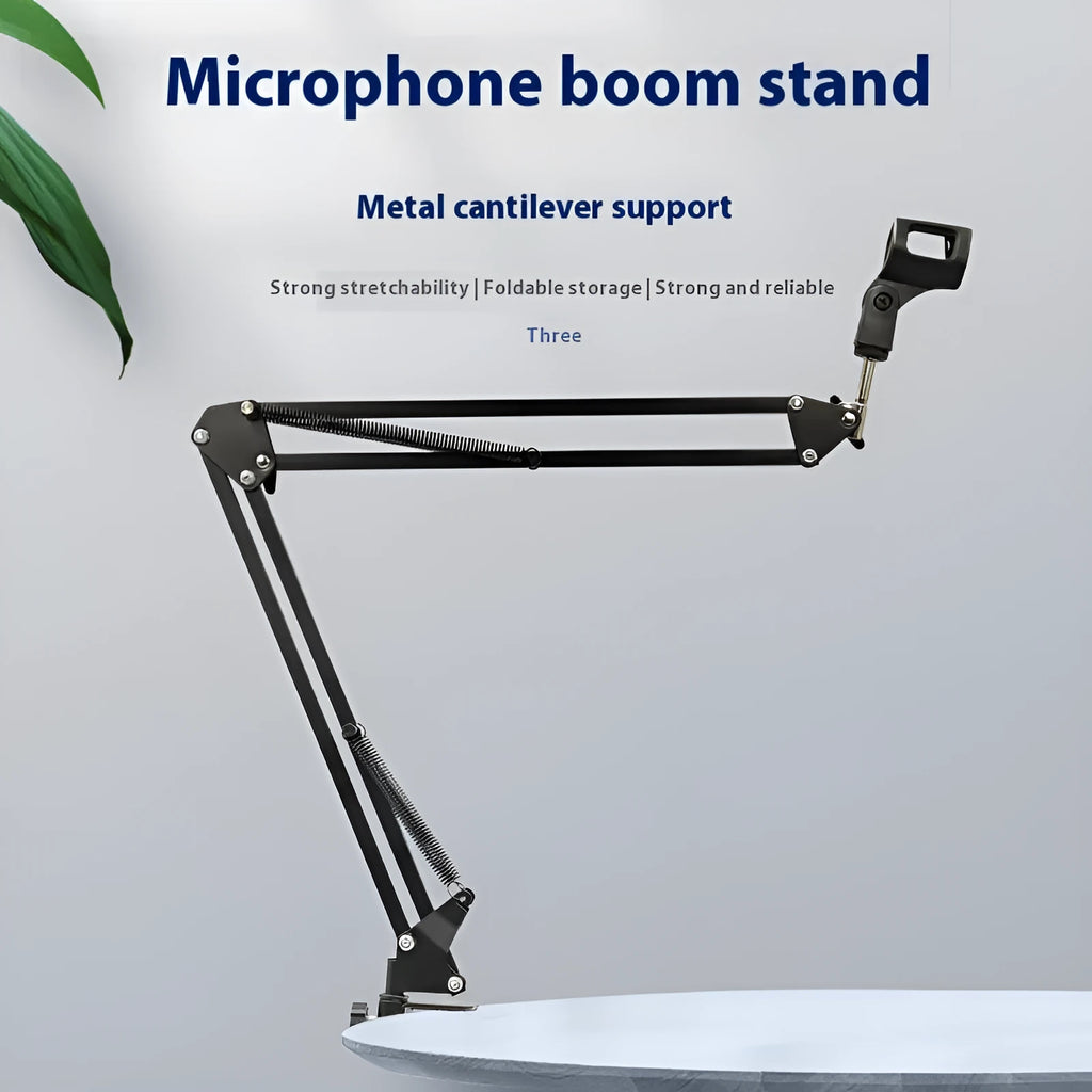 Black gold single wheat capacitor microphone set with cantilever bracket for mobile recording