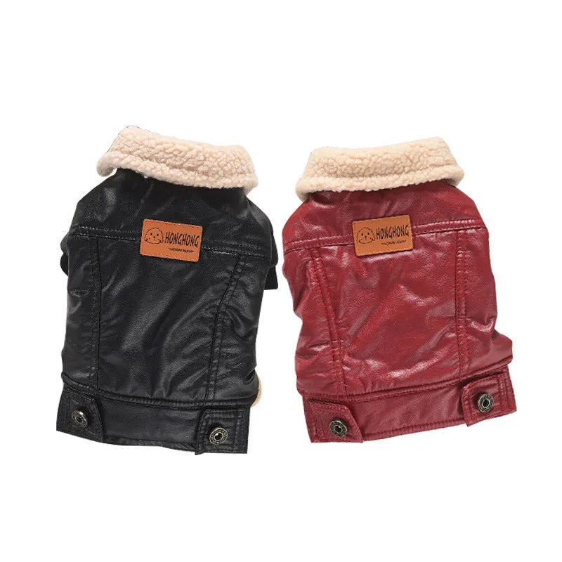 Red fleece-lined PU leather dog coat on pet showing two-legged design and British style
