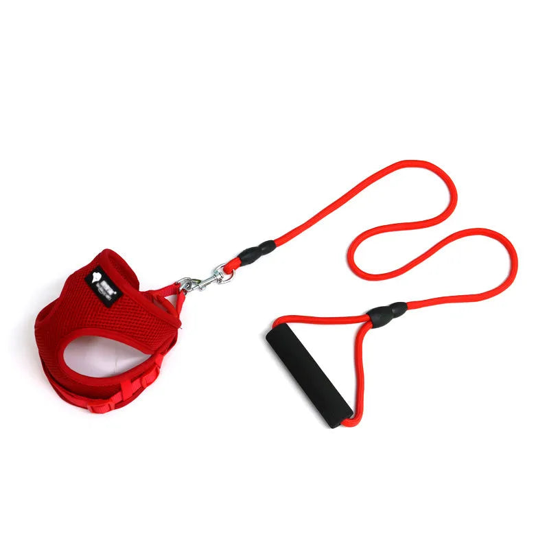 Blue dog leash with foam handle and matching adjustable collar for a medium-sized dog.