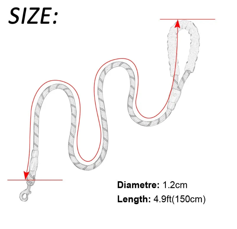Reflective nylon dog leash with foam handle and zinc alloy hook on a white background