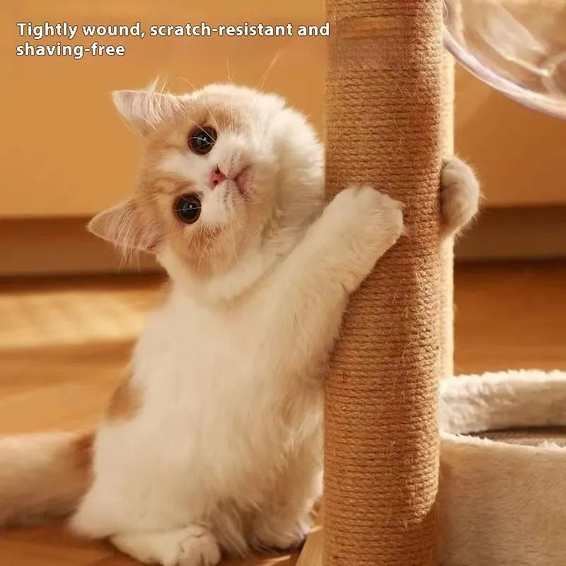 Wood colour cat climbing frame with integrated space capsule in luxury style
