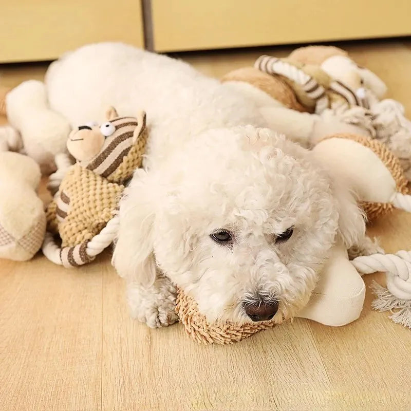 Cotton rope dog toy with canvas and sound, bone and frisbee shapes