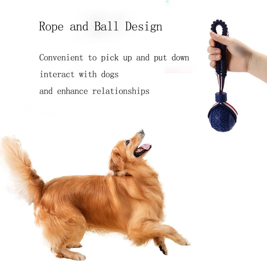 Blue rubber dog ball with rope attachment for tug-of-war and teeth cleaning