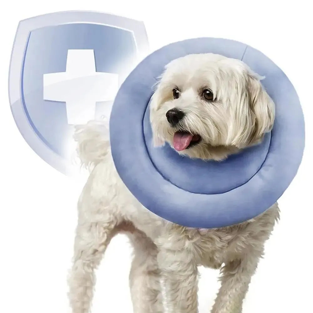 Blue adjustable Elizabethan recovery collar for a dog, showing the spring buckle and padded interior.