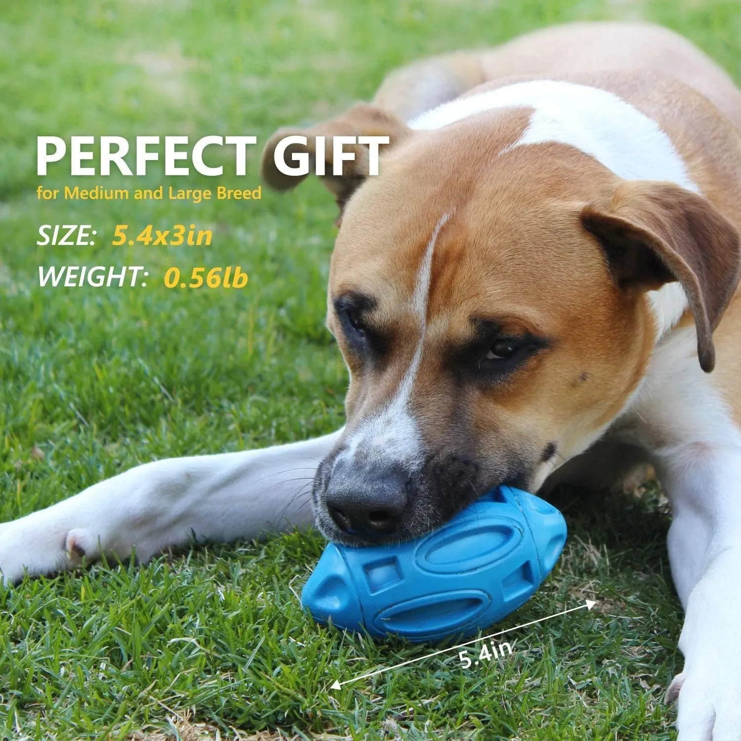 Blue, green, and orange squeaky rubber dog ball with surface grooves for aggressive chewers