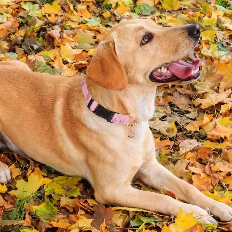Floral polyester adjustable dog collar for traction in a pink colour, shown on a white background