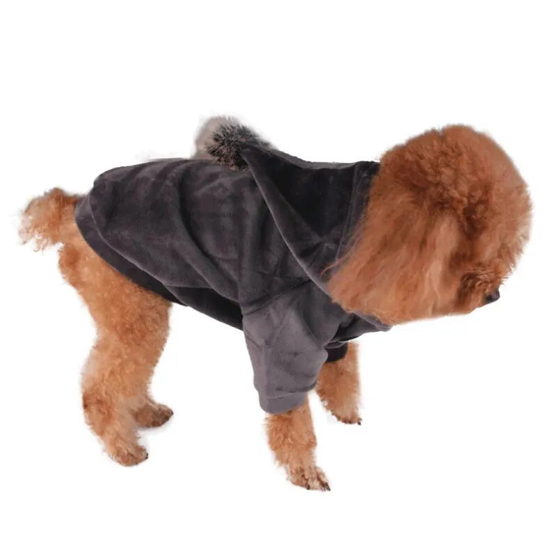Small dog wearing a blue hot dog costume made from breathable cotton with elastic leg openings.
