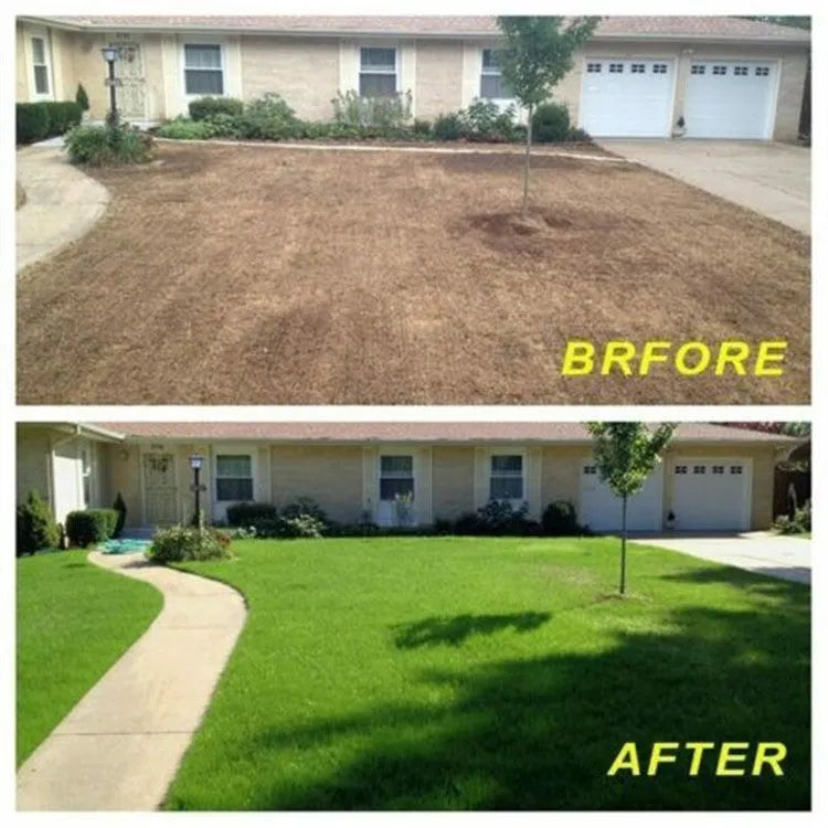 Biodegradable grass seed mat 20x300cm rolled out on bare soil showing wind proof and soil consolidation functions