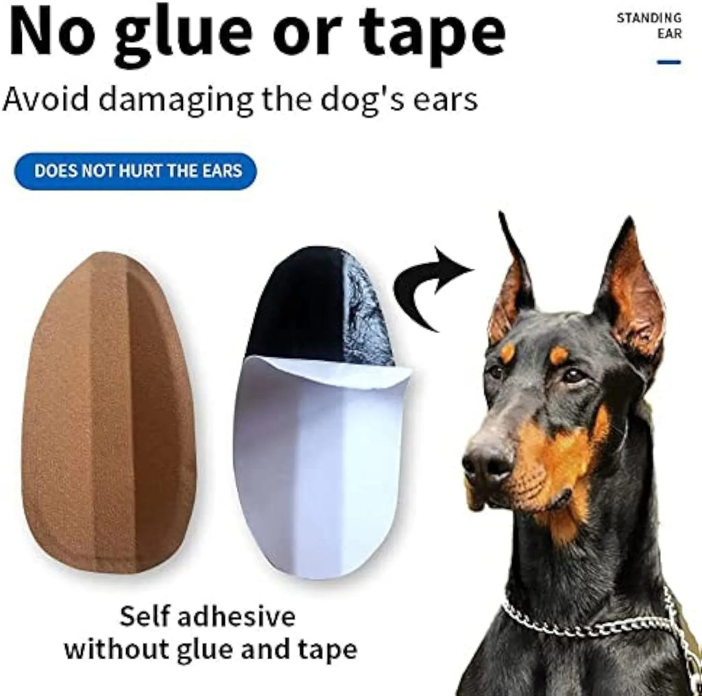 Dog ear correction support stickers with sizing options for Doberman Sheltie Corgi puppies
