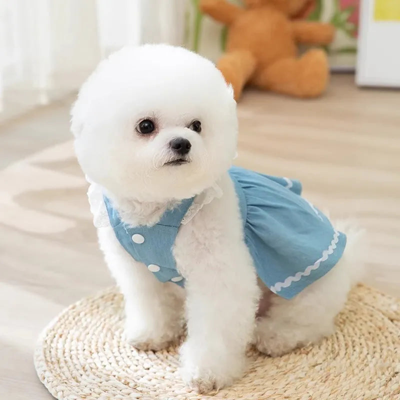 Bondi Blue dog skirt with strawberry and denim print on a small dog model.