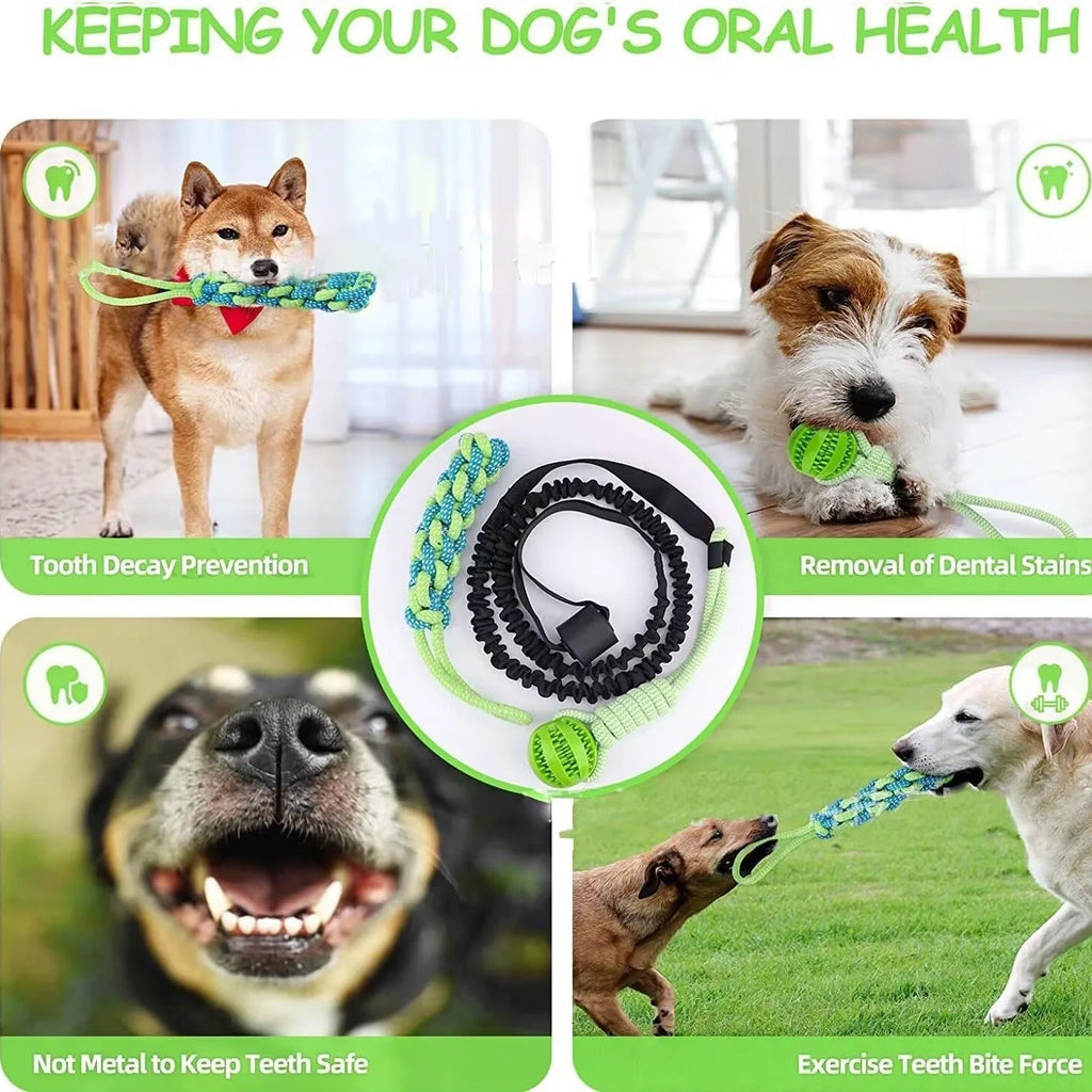 Green cotton thread dog tug rope toy with corncob design for tug-of-war games.