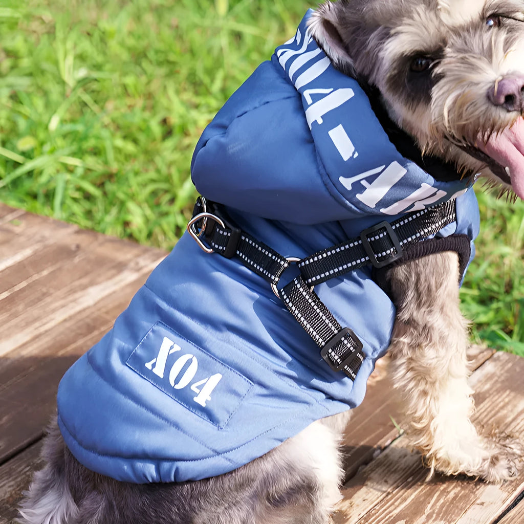 Red hooded dog winter jacket with fleece lining on a small dog outdoors.