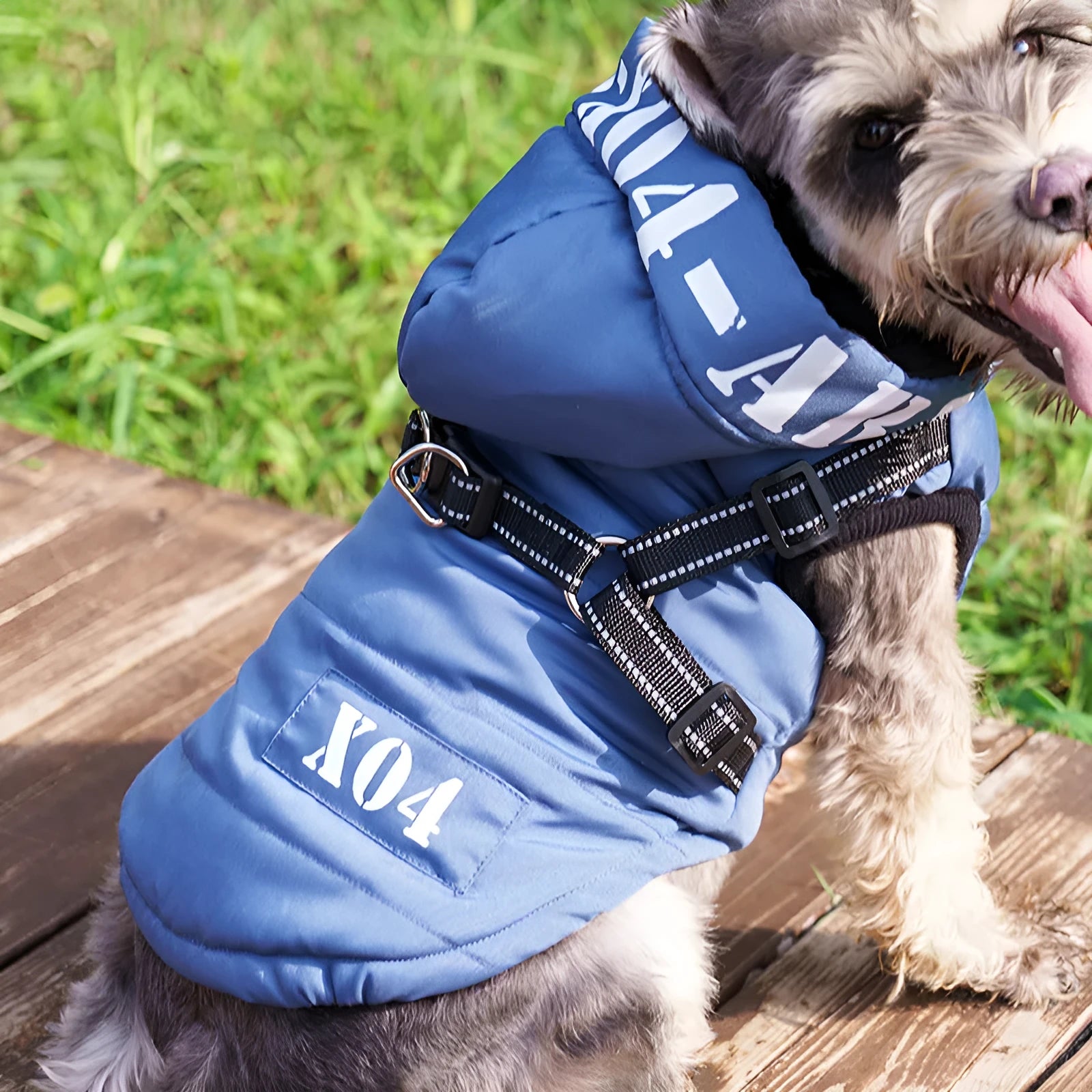 Red hooded dog winter jacket with fleece lining on a small dog outdoors.