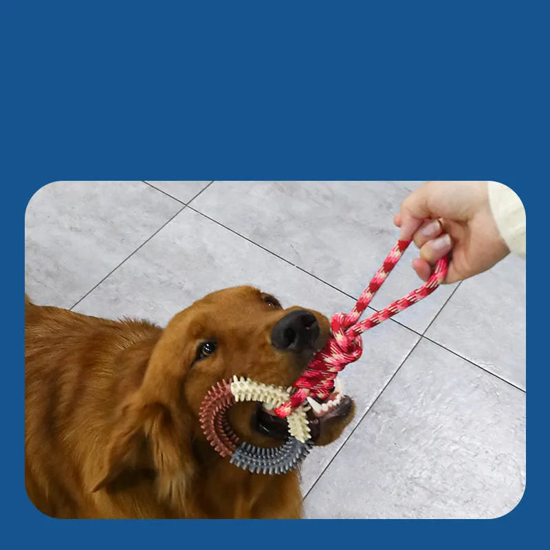Blue braided rope dog toy with multiple knots measuring 43 cm in length