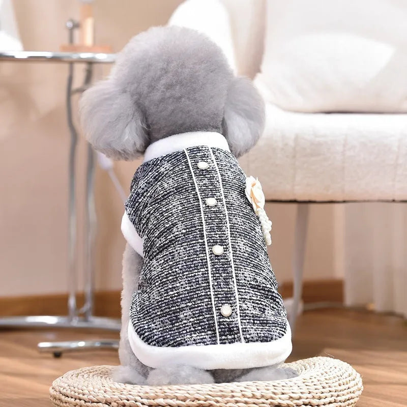 Black or purple PU jacket for small to medium sized cats and sausage dogs