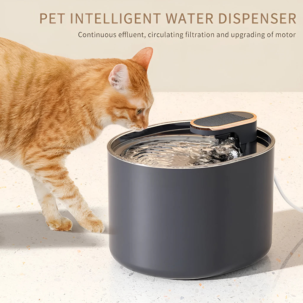 Automatic pet water fountain with USB cable, filter element, and detachable components in Berlin blue colour