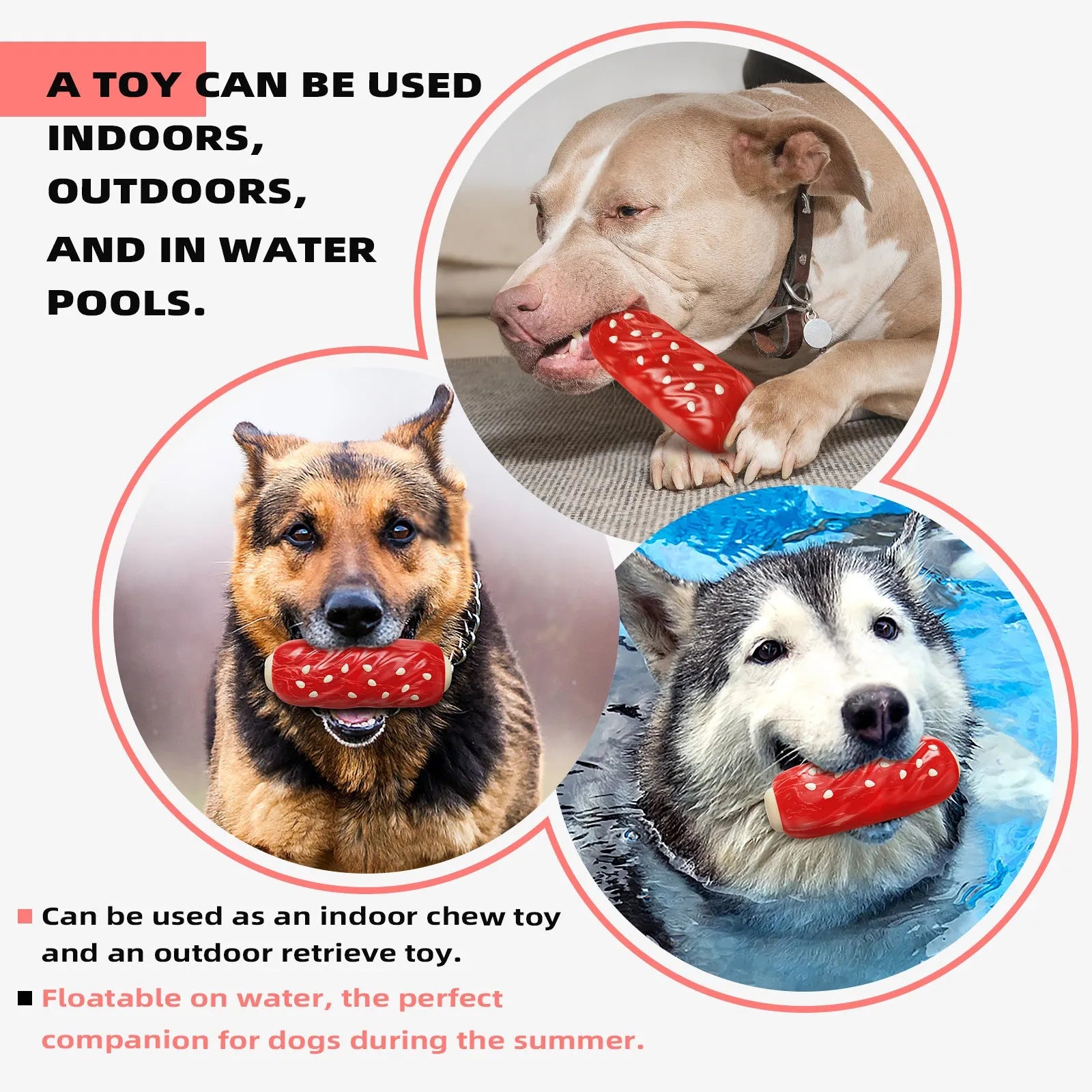 Primary coloured plastic Molar Rod dog chew toy with textured surface and hollow treat-dispensing centre.