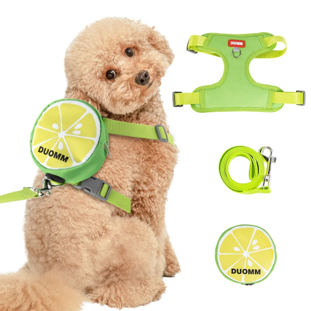 Pet backpack and chest strap set with anti-slip traction rope in green, orange or pink colours
