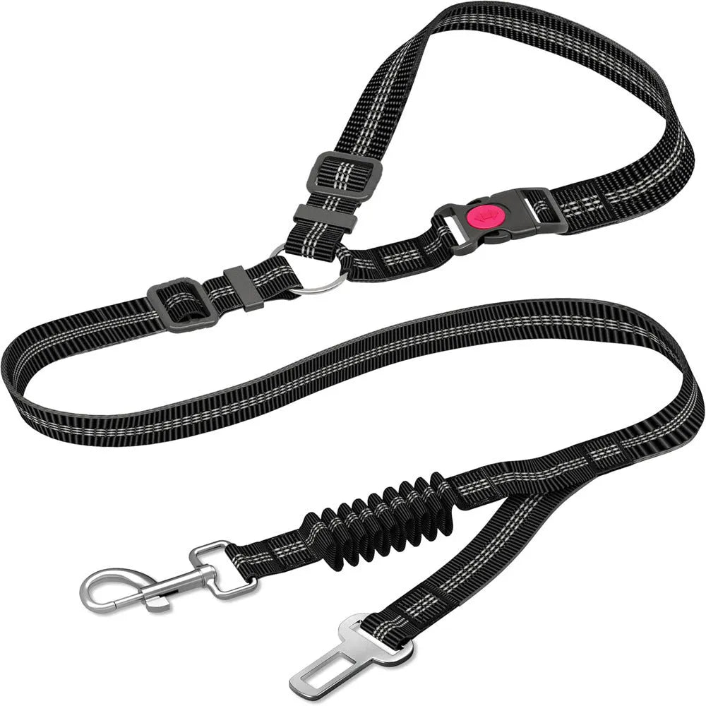 Retractable dog leash with anti-pull car seatbelt in nylon, shown in multiple colours including black, red, and blue.