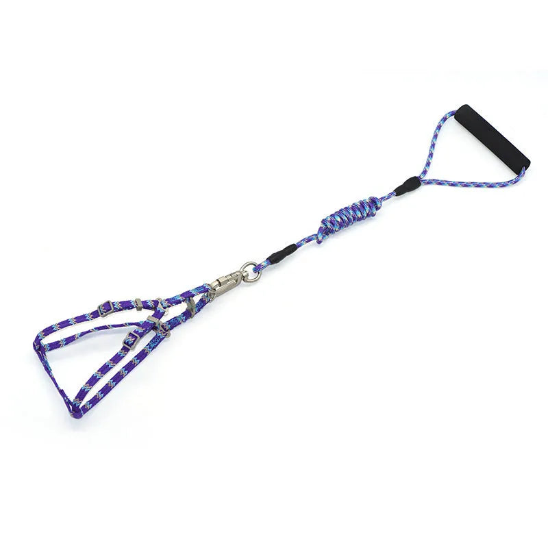 Nylon pet climbing harness chest and back with foam traction handle circular rope in blue, orange, purple, rose red, and yellow colours